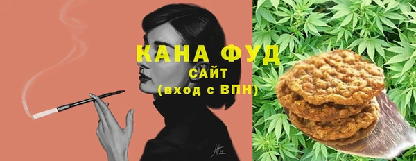 mix Инта