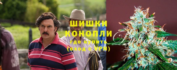 ГАЛЛЮЦИНОГЕННЫЕ ГРИБЫ Алексеевка