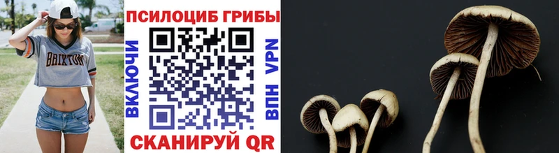 Псилоцибиновые грибы MAGIC MUSHROOMS купить закладку Анапа