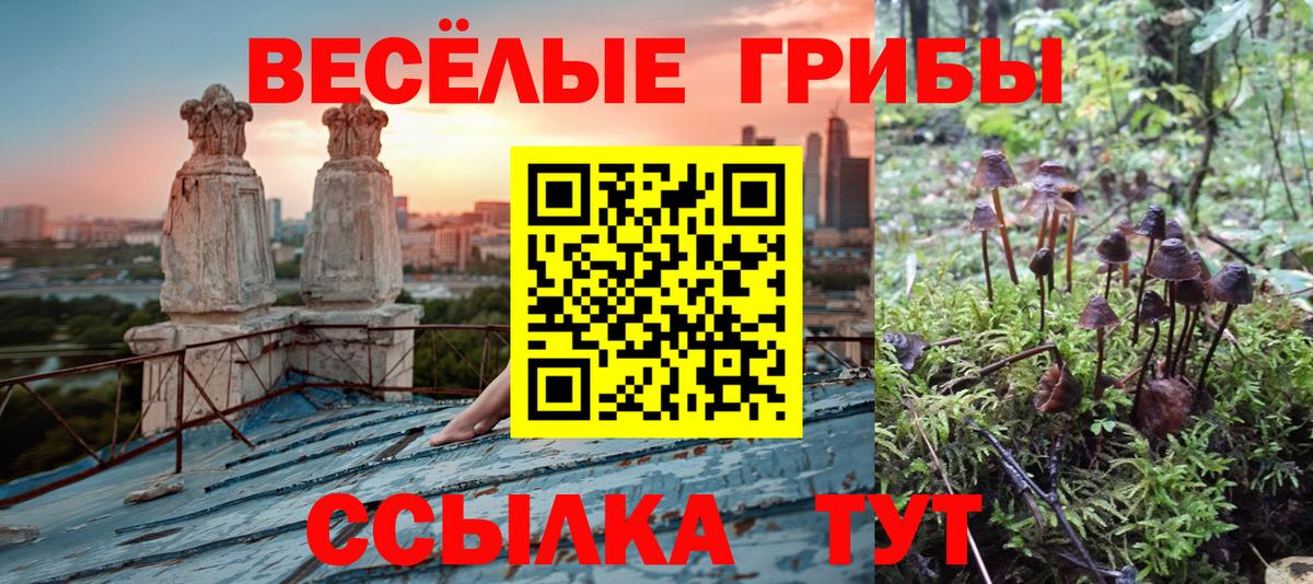 Галлюциногенные грибы ЛСД Анапа