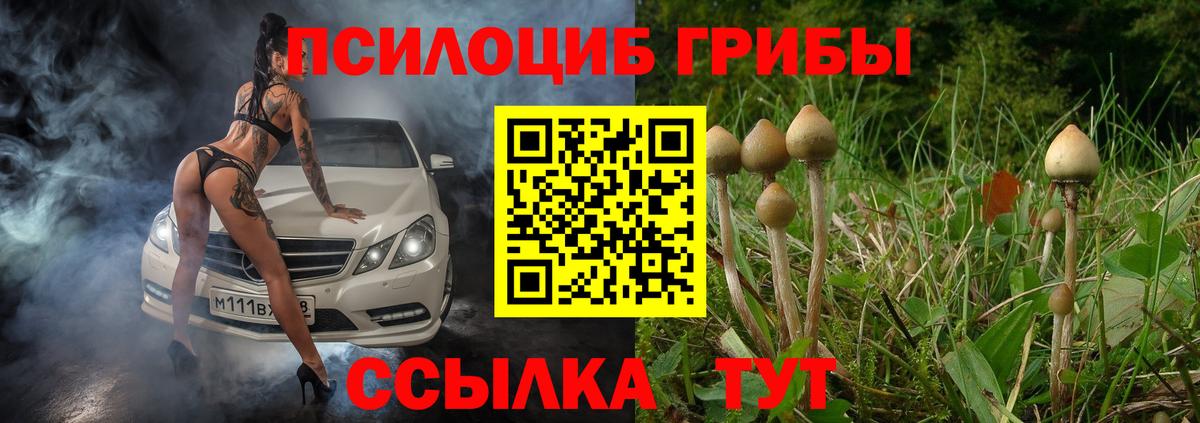 Галлюциногенные грибы мицелий Анапа