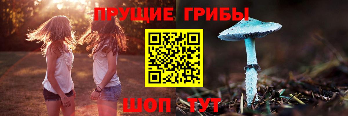 Анапа  Галлюциногенные грибы Psilocybine cubensis  Вход с VPN  Галлюциногенные грибы Cubensis 